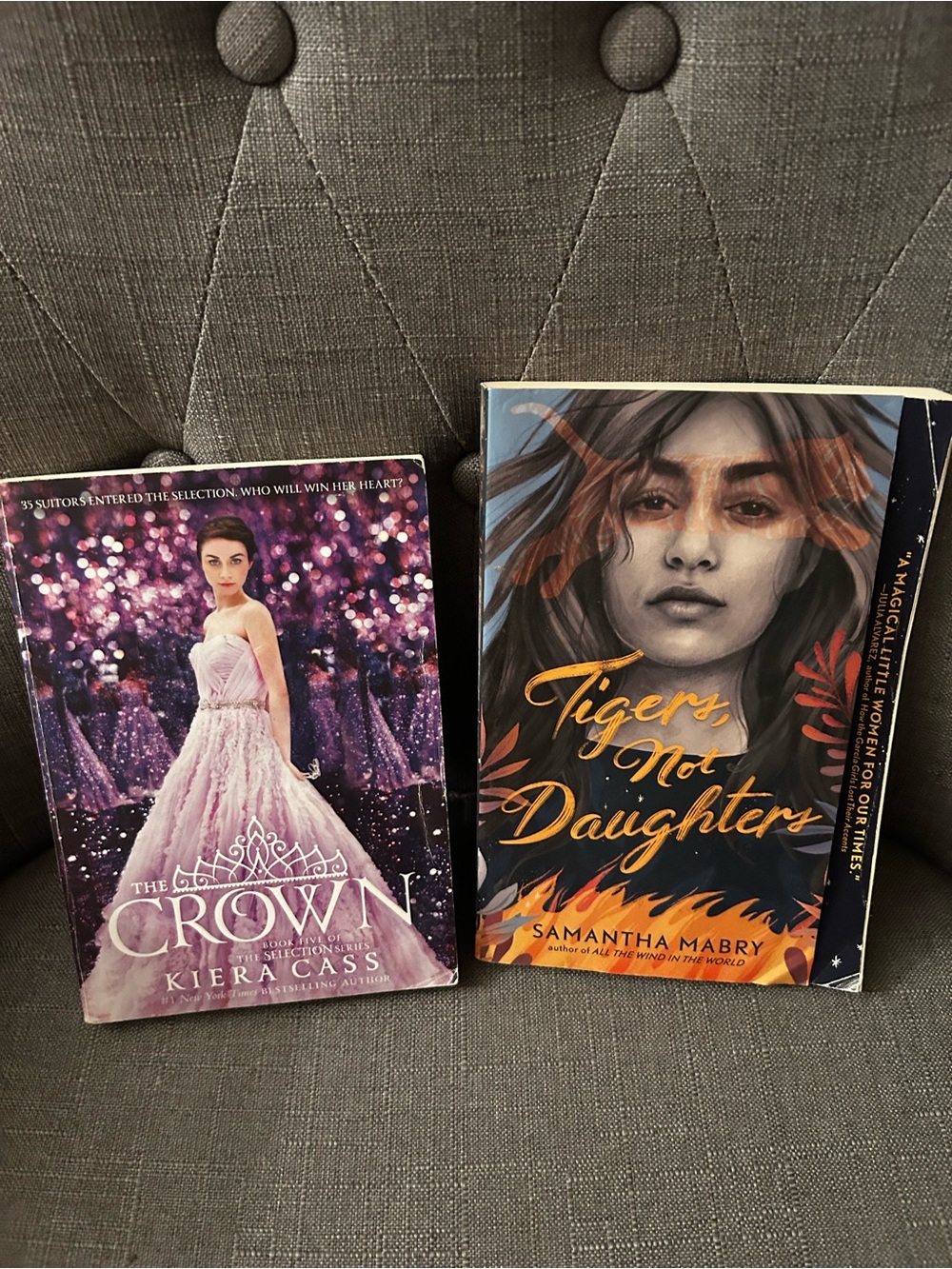 Kiera Cass The Crown book,Samantha Mabry tigers, not daughters book